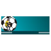 Soccer 01 96x36
