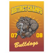 District Champions 24x36