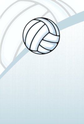 Volleyball 03 24x36