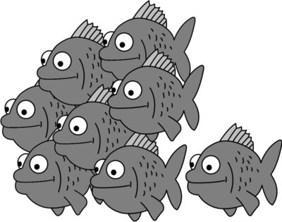 Fish Group