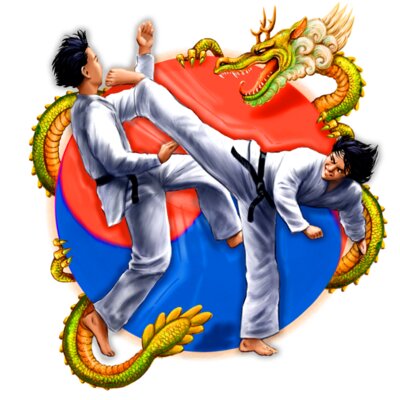 Taekwondo Kick Design