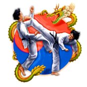 Taekwondo Kick Design