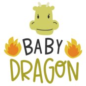 Baby Dragon Design
