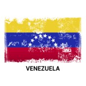 Distressed Flag Vzla Design