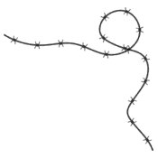 Tangled Barbed Wire