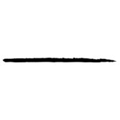 Bold Brush Line