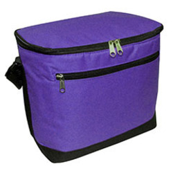 12-Pack Cooler