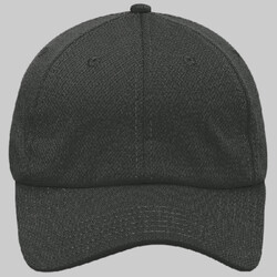 OTTO CAP® 6 Panel Low Profile Baseball Cap