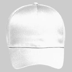 OTTO CAP 5 Panel Mid Profile Baseball Cap