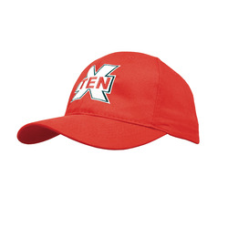 HP BRUSHD COT 6 PNL CP