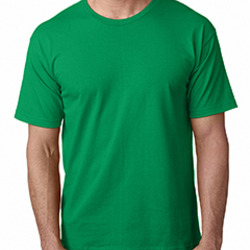 Adult 5.4 oz., 100% Cotton T-Shirt