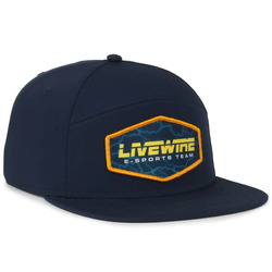 Split Panel Performance Snapback